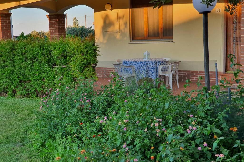 Villetta Giardino Degli Ulivi ออร์โตนา ภายนอก รูปภาพ