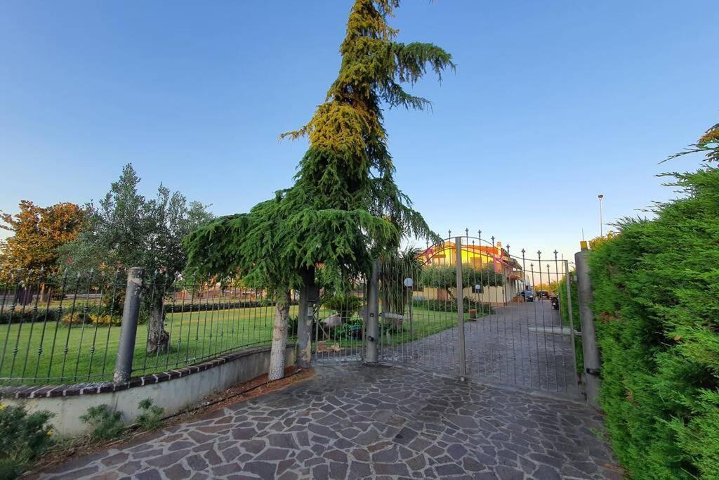 Villetta Giardino Degli Ulivi ออร์โตนา ภายนอก รูปภาพ