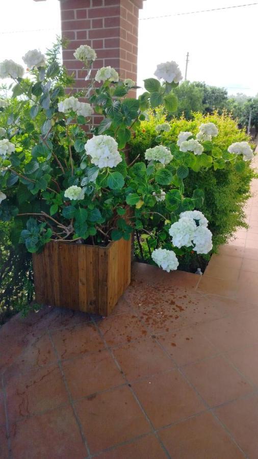 Villetta Giardino Degli Ulivi ออร์โตนา ภายนอก รูปภาพ